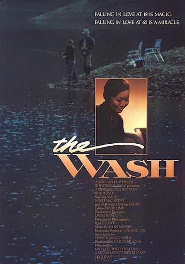 The Wash movie where to watch streaming online